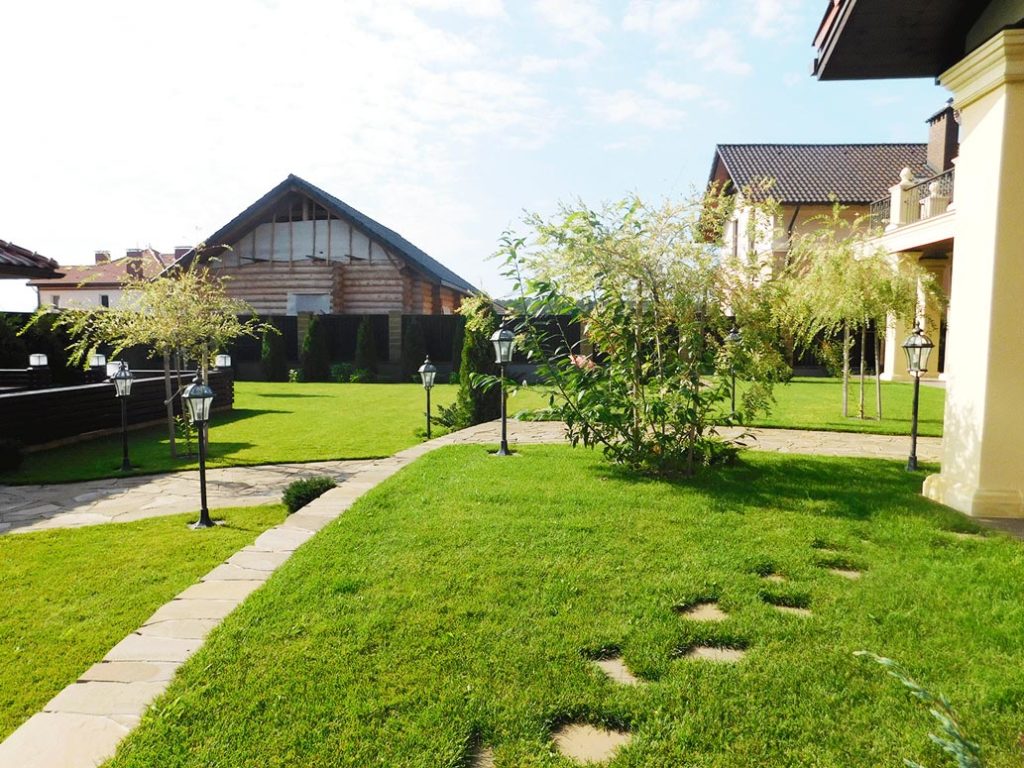 благоустройство газона