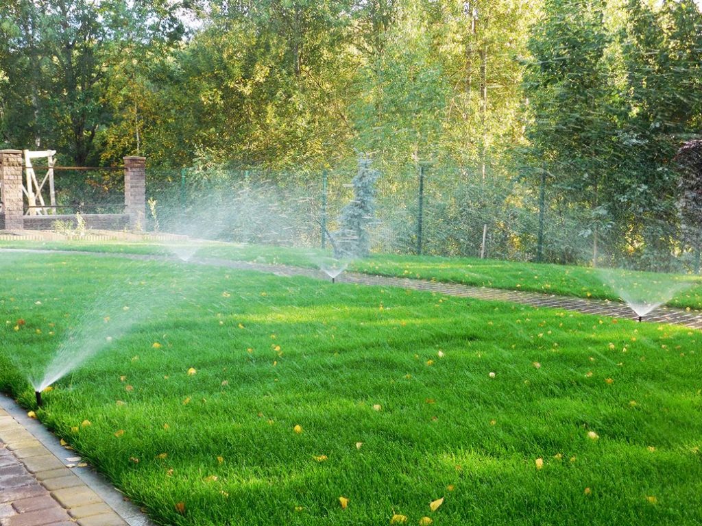 озеленение и благоустройство территории