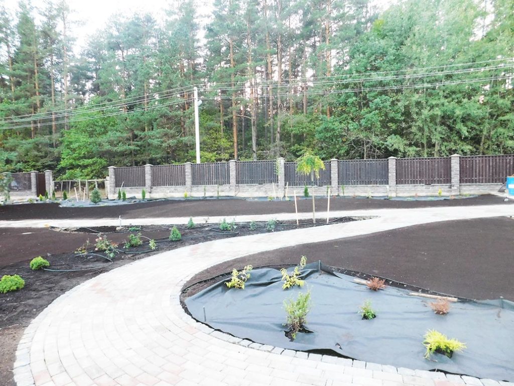 озеленение участка