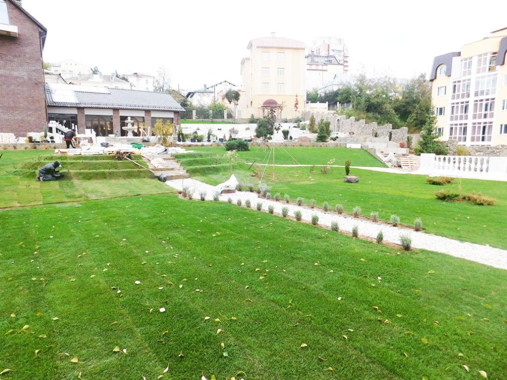 озеленение территории в минске